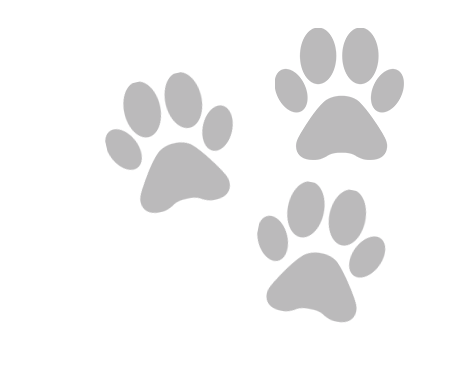 Karma Veteriner Kliniği