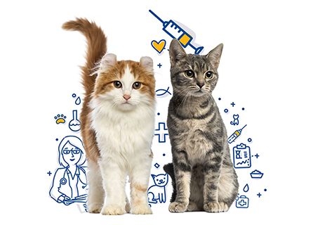 Karma Veteriner Kliniği